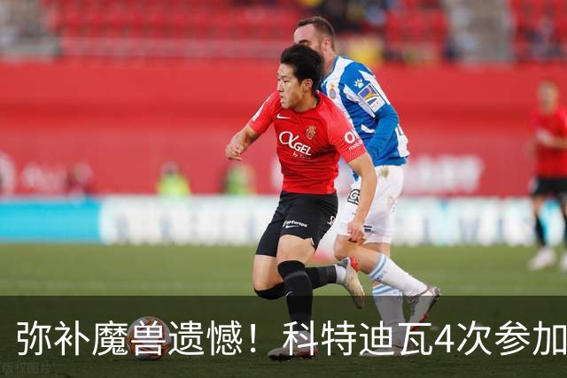 弥补魔兽遗憾！科特迪瓦4次参加世界杯 本届终迎淘汰赛